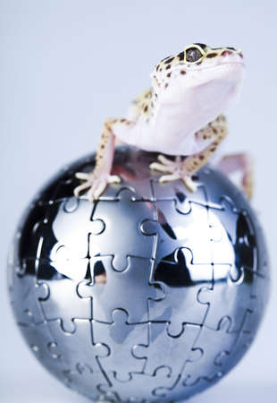 Globe in geckoの写真素材