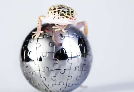 Globe in geckoの写真素材