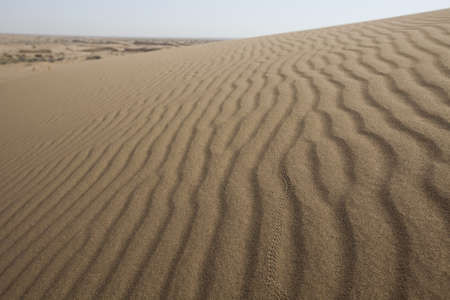 Sand backgroundの写真素材
