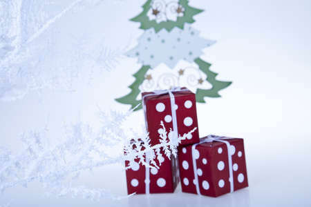 Christmas tree   の写真素材
