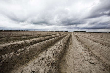 Fieldの写真素材