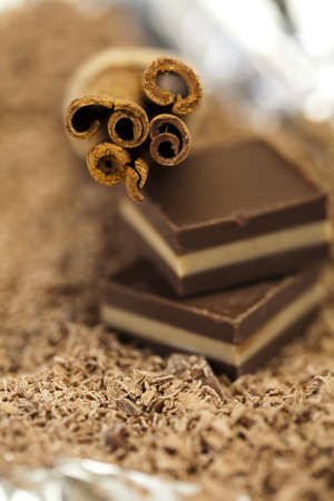 Cinnamon and Chocolateの写真素材