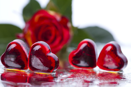 Valentine's day and rose
