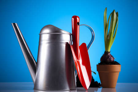 Watering Can And Gardenの写真素材