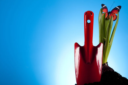 Spring gardenの写真素材