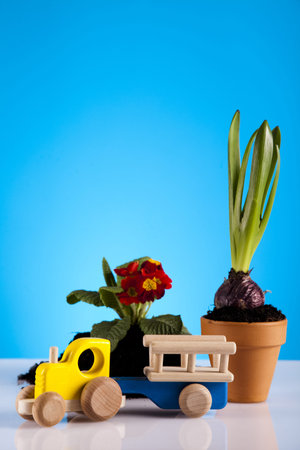 Garden concept