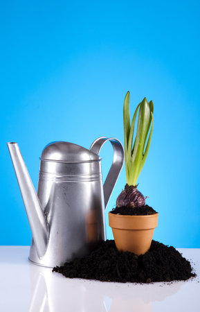 Watering Can And Garden