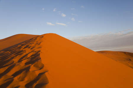 Desert dunes in Morocco の写真素材