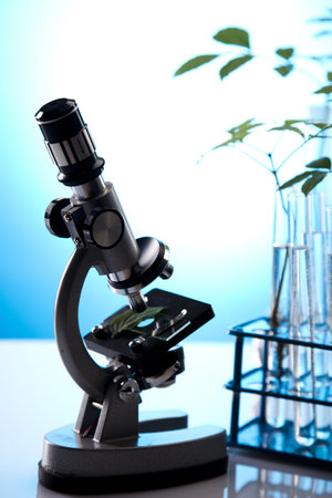 Close-up of plants in test tubes aboratory 
