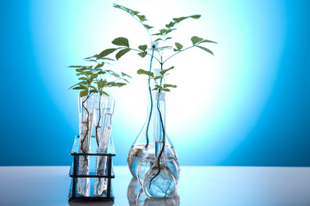 Plants in test tubes in  laboratory 
