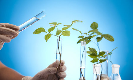 Close-up of plants in test tubes aboratory の写真素材