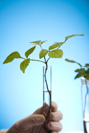 Plant laboratory