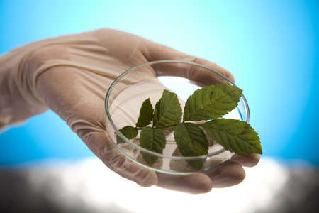 Eco laboratory の写真素材