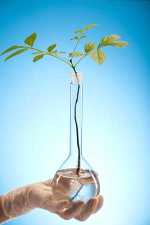 Floral science in  laboratory の写真素材