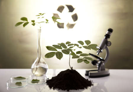 Experimenting with flora in laboratory の写真素材