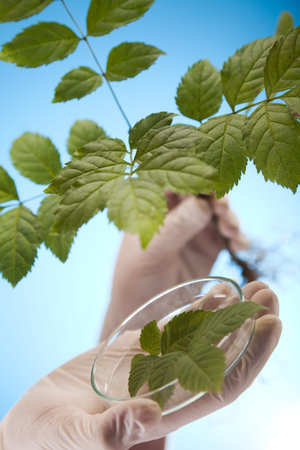 Plant laboratory