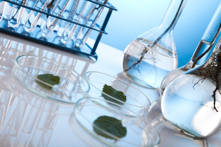 Floral science in  laboratory 