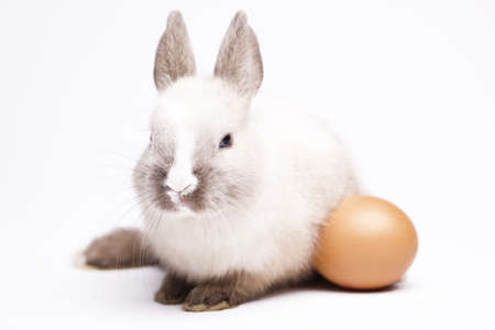 Happy easterの写真素材