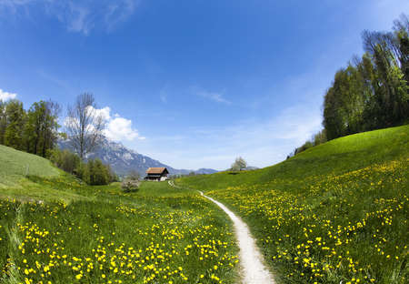 Spring landscape in mountains, aplsの写真素材