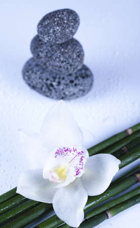  Zen stonesの写真素材