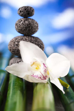Stones and bamboo, zenの写真素材