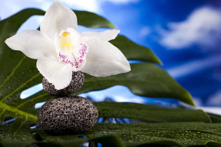 Zen stone の写真素材
