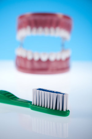  Teeth