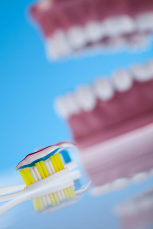Teeth