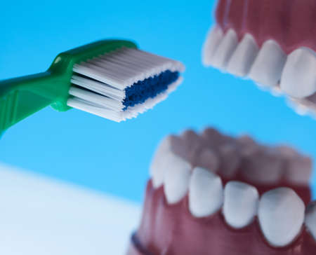 Teeth, Dental health care objects の写真素材