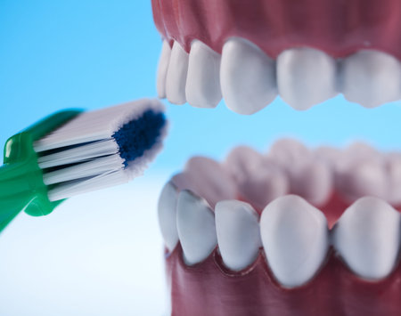 Teeth, Dental health care objects 