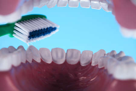 Teeth, Dental health care objects の写真素材