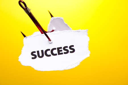 Successの写真素材