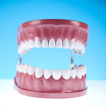 Teeth