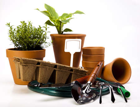 Garden conceptの写真素材
