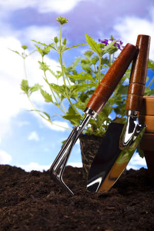 Garden backgroundの写真素材