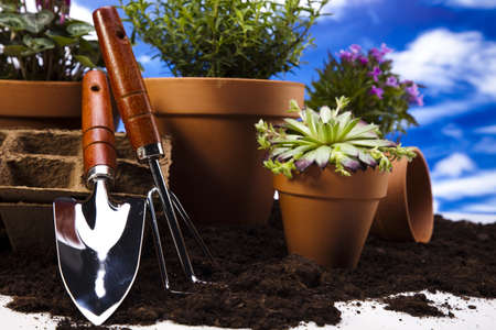 Flowers and garden tools on blue sky background の写真素材