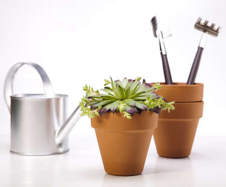 Garden tools on white background の写真素材