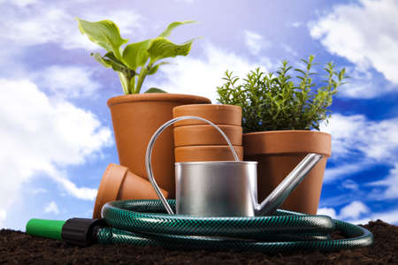 Flowers and garden tools on blue sky background の写真素材
