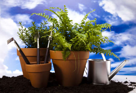 Flowers and garden tools on sky background の写真素材