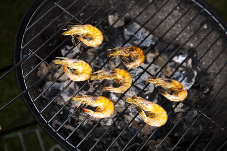 Shrimpsの写真素材