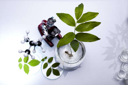 Chemical laboratory glassware equipment, ecology の写真素材