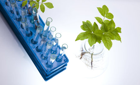 Biotechnology 