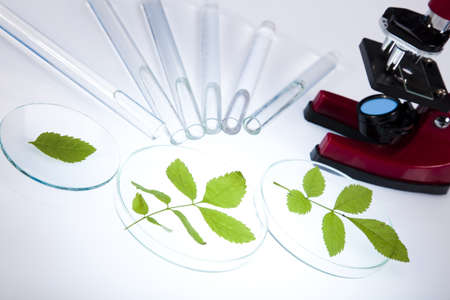 Microscope and Biotechnology の写真素材