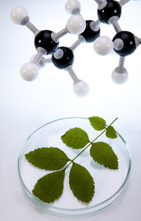 Biotechnology 