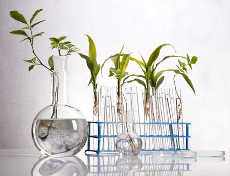 Experimenting with flora in laboratory 