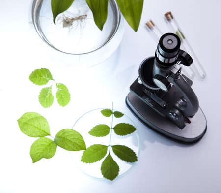 Microscope and Biotechnology の写真素材