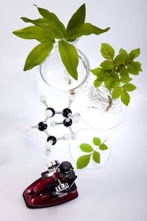 Plant laboratoryの写真素材