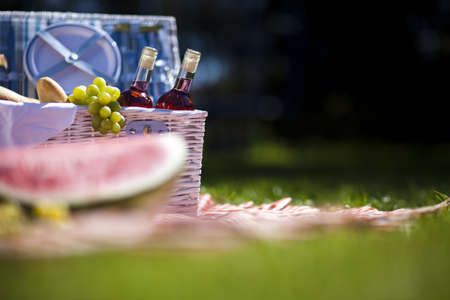 Picnic basket on green lawnの写真素材