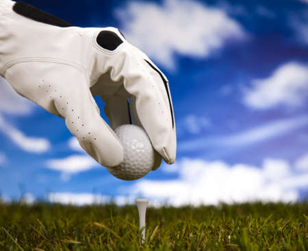 Golf tee の写真素材