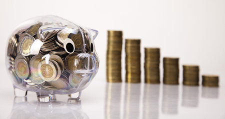 Piggy bank as concept